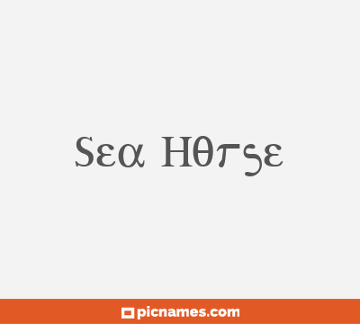 Sea Horse